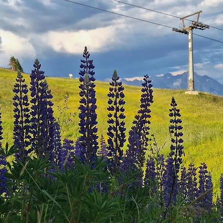 Apart-bergliebe Lägenhet *